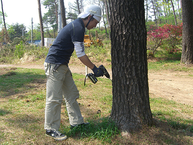 防除樹幹注入剤の施工作業